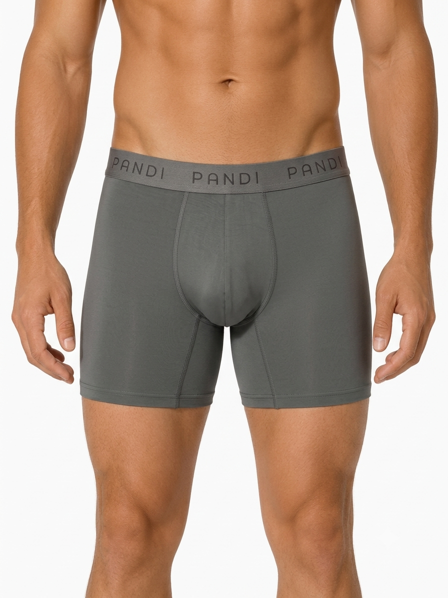 Ropa interior de bambú para hombre color gris — bóxer cómodo y fresco de PANDI, entrega a toda Costa Rica