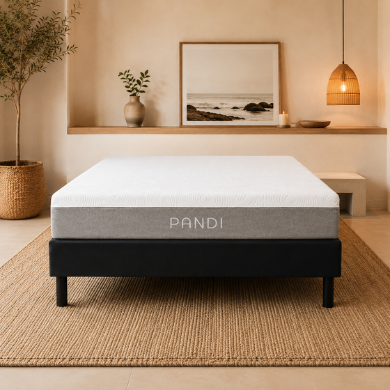 Bases de Cama