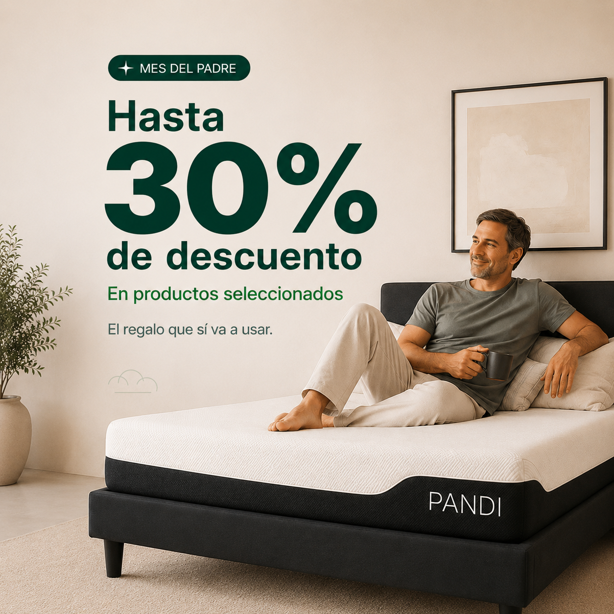 Mes del Padre PANDI - hasta 30% OFF en productos seleccionados en Costa Rica