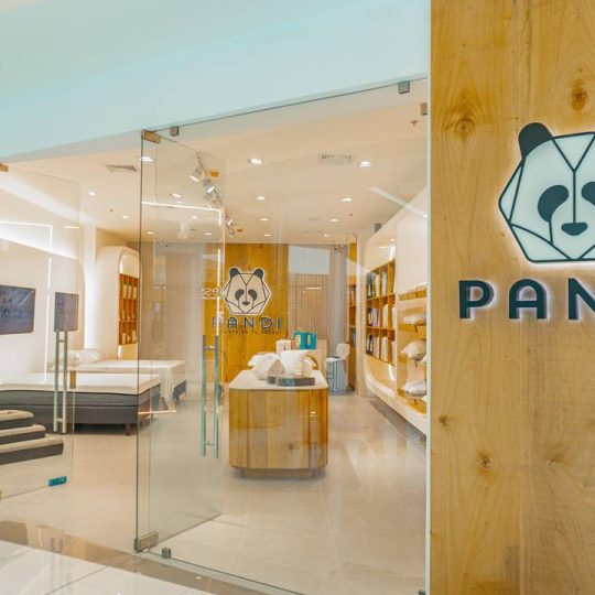 Pandi Flow PANDI VERDE