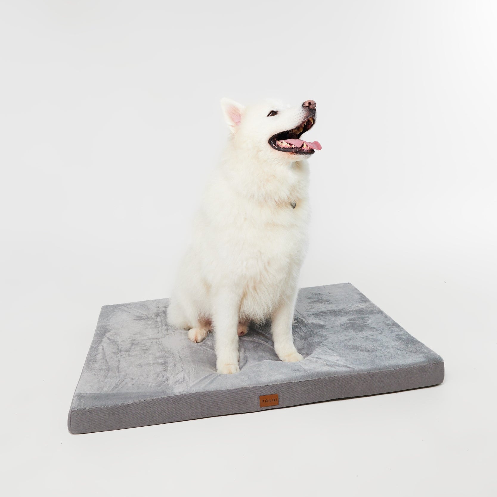 Cama Viscoelástica para Mascotas PANDI en ambiente decorativo, mostrando su integración perfecta en cualquier espacio del hogar.