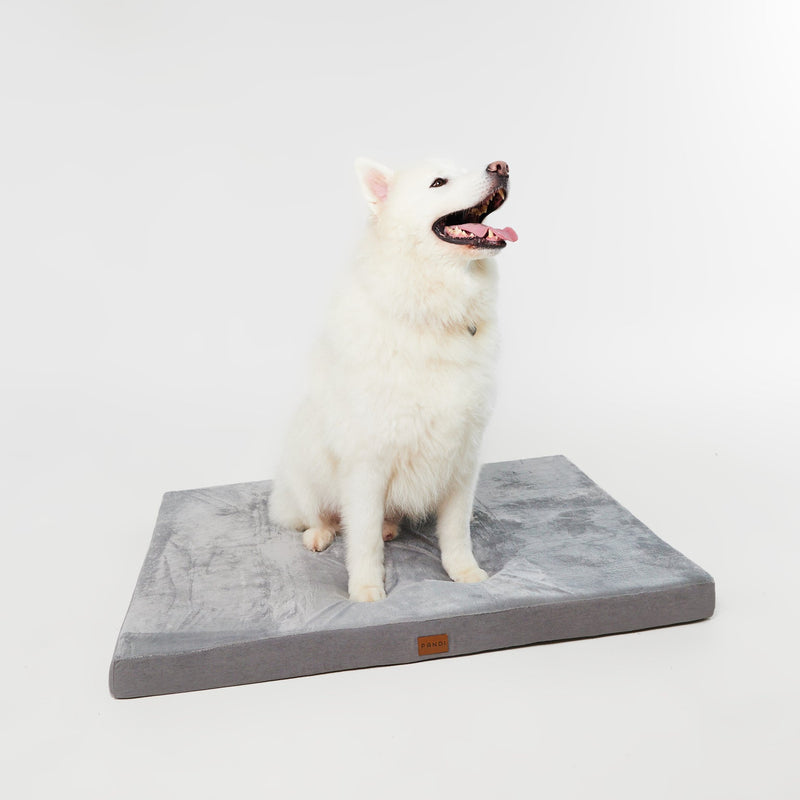 Cama Viscoelástica para Mascotas PANDI en ambiente decorativo, mostrando su integración perfecta en cualquier espacio del hogar.