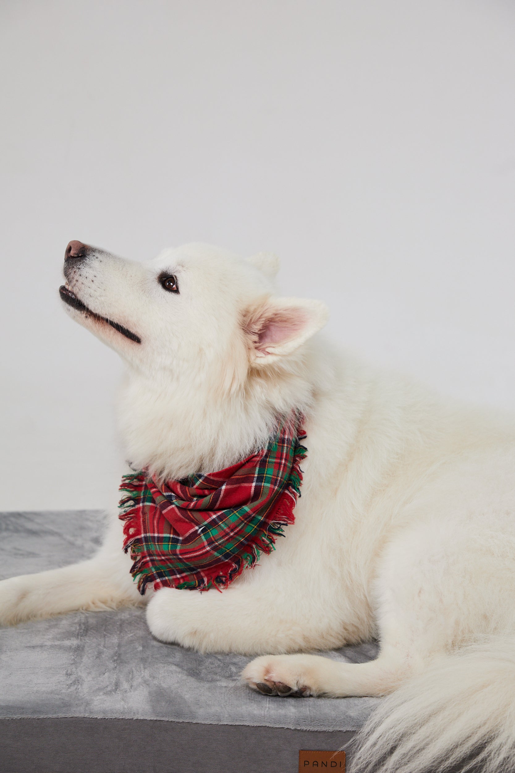 Detalles de la Cama Viscoelástica para Mascotas PANDI, destacando su tejido resistente y fácil de limpiar para mantener la higiene.