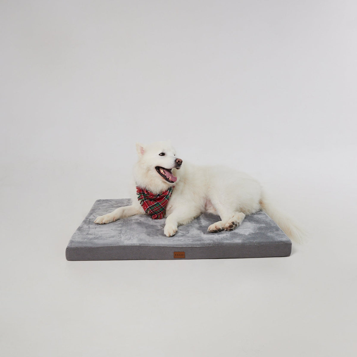 Cama Viscoelástica para Mascotas de PANDI, diseño elegante y moderno que ofrece comodidad ortopédica para el descanso de tu mascota.