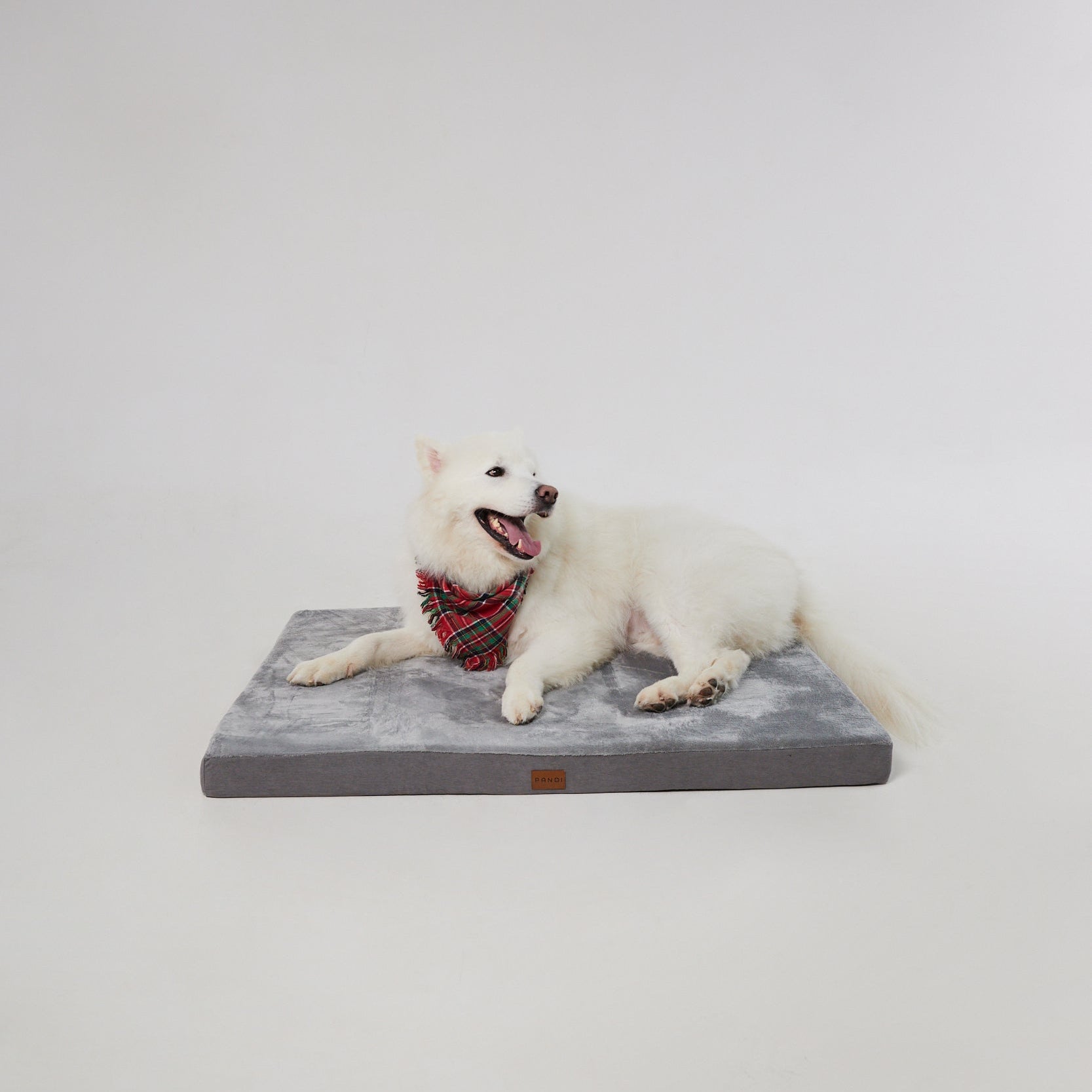 Cama Viscoelástica para Mascotas de PANDI, diseño elegante y moderno que ofrece comodidad ortopédica para el descanso de tu mascota.